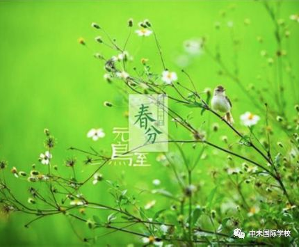 1585035925208881.png image.png