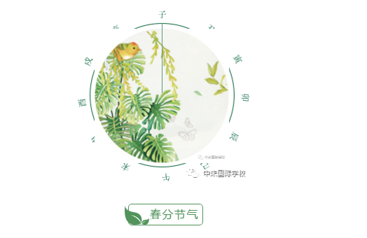 1585035982365486.png image.png