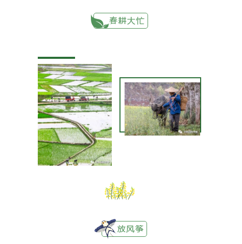 1585036302945669.png image.png