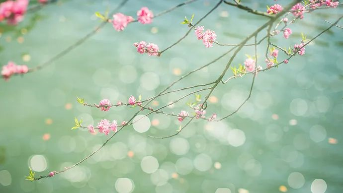 1585037141972332.png image.png